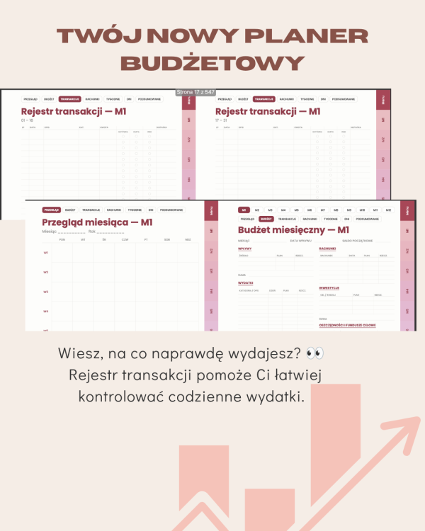 Planer Budżetowy – podgląd strony planera 4